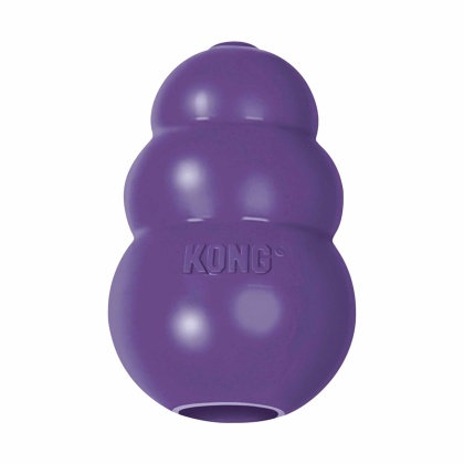 KONG(R) Senior Dog Chew Toy - Large