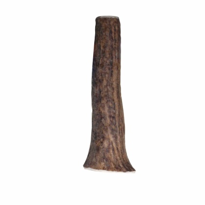 KONG(R) Wild Antler Whole  - Small