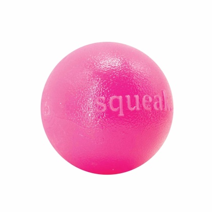 Pink - Planet Dog Orbee-Tuff Squeak Ball Dog Toy