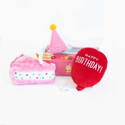 Pink - ZippyPaws Birthday Box  - 3pc