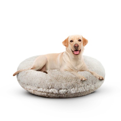 Blondie - Bagel Bed LG - Blondie - LG - 42\