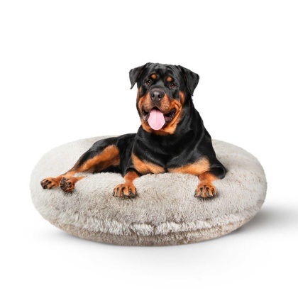 Blondie - Bagel Bed XL - Blondie - XL - 50\