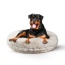 Blondie - Bagel Bed XL - Blondie - XL - 50