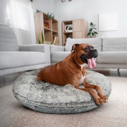 Frosted Snow - Bagel Bed XL - Frosted Snow - XL - 50\