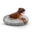 Frosted Snow - Bagel Bed XL - Frosted Snow - XL - 50