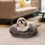 Frosted Willow - Bagel Bed SM - Frosted Willow - SM - 30