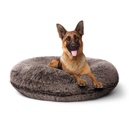 Frosted Willow - Bagel Bed LG - Frosted Willow - LG - 42\