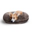 Frosted Willow - Bagel Bed MD - Frosted Willow - MD - 36