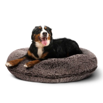 Frosted Willow - Bagel Bed XL - Frosted Willow - XL - 50\