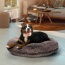 Frosted Willow - Bagel Bed XL - Frosted Willow - XL - 50