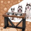 Farmhouse 2-Bowl Elevated Dog Feeder Grey Medium, Black Base