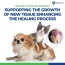 Healers Cut and Wound Spray For Pets